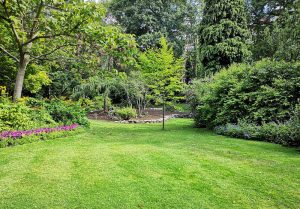 Optimiser l'expérience du jardin à Montigny-les-Conde